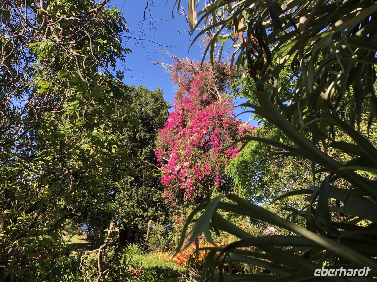 Quinta Boa Vista &ndash; &copy; Sabine C. Seifert (Eberhardt TRAVEL)