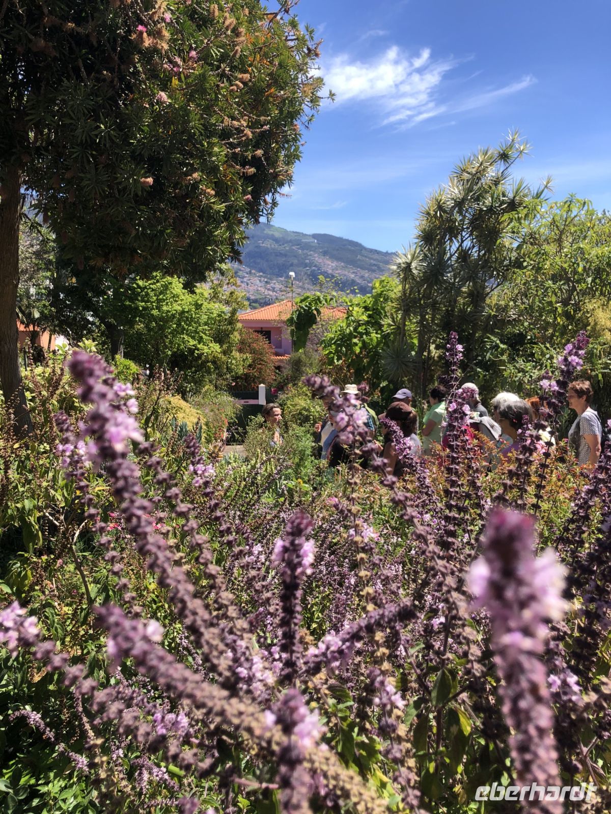 Fest der Sinne in Esmeraldas Kräutergarten &ndash; &copy; Sabine C. Seifert (Eberhardt TRAVEL)
