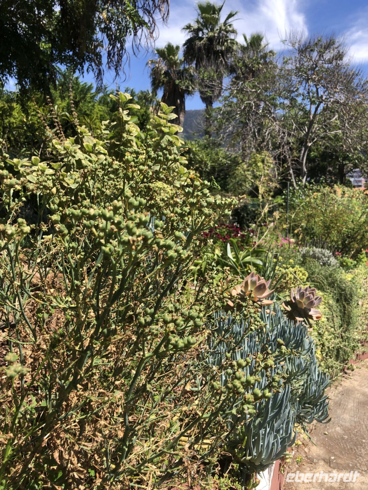 Kräutergarten &ndash; &copy; Sabine C. Seifert (Eberhardt TRAVEL)