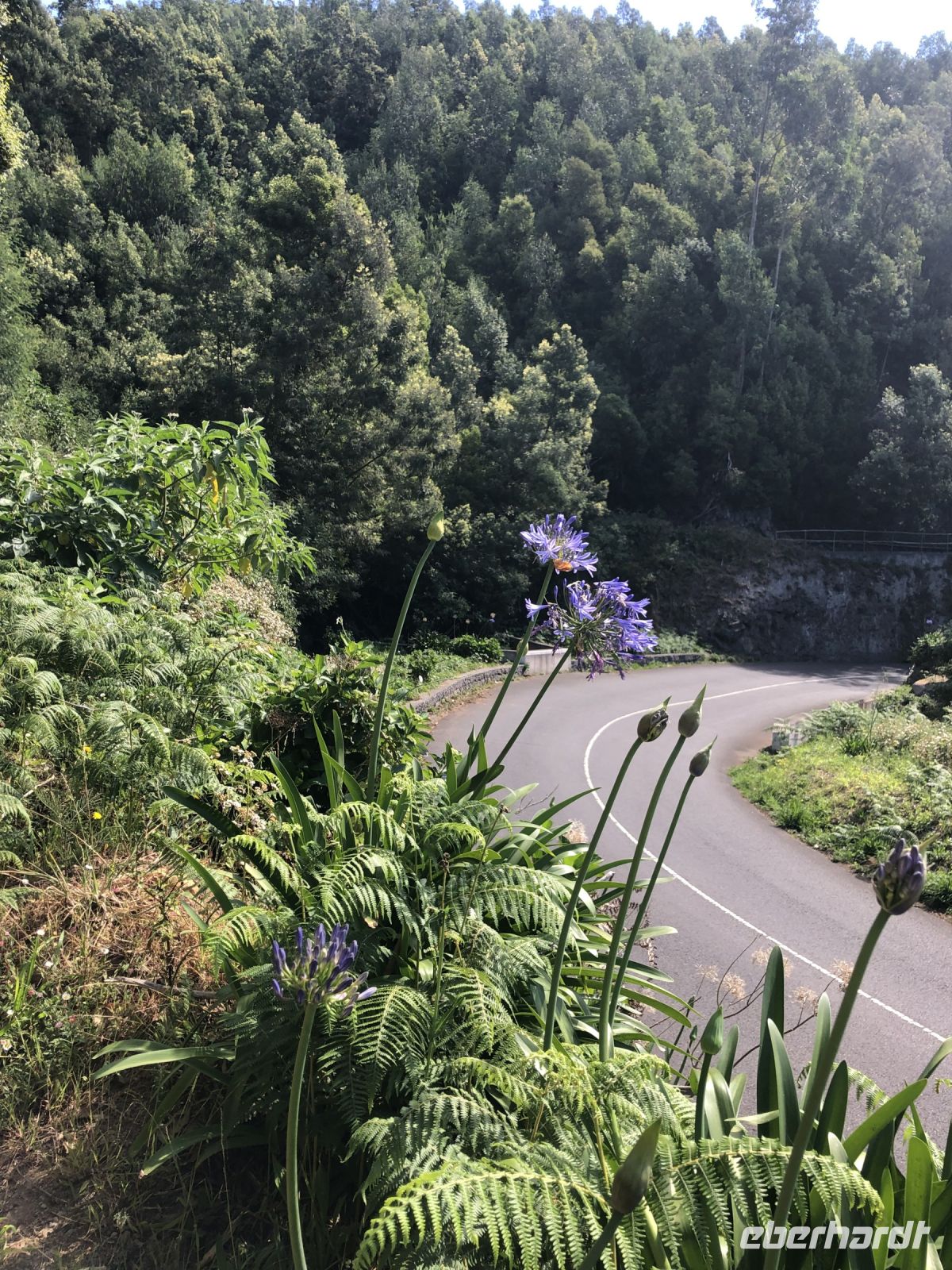 am Wegesrand &ndash; &copy; Sabine C. Seifert (Eberhardt TRAVEL)