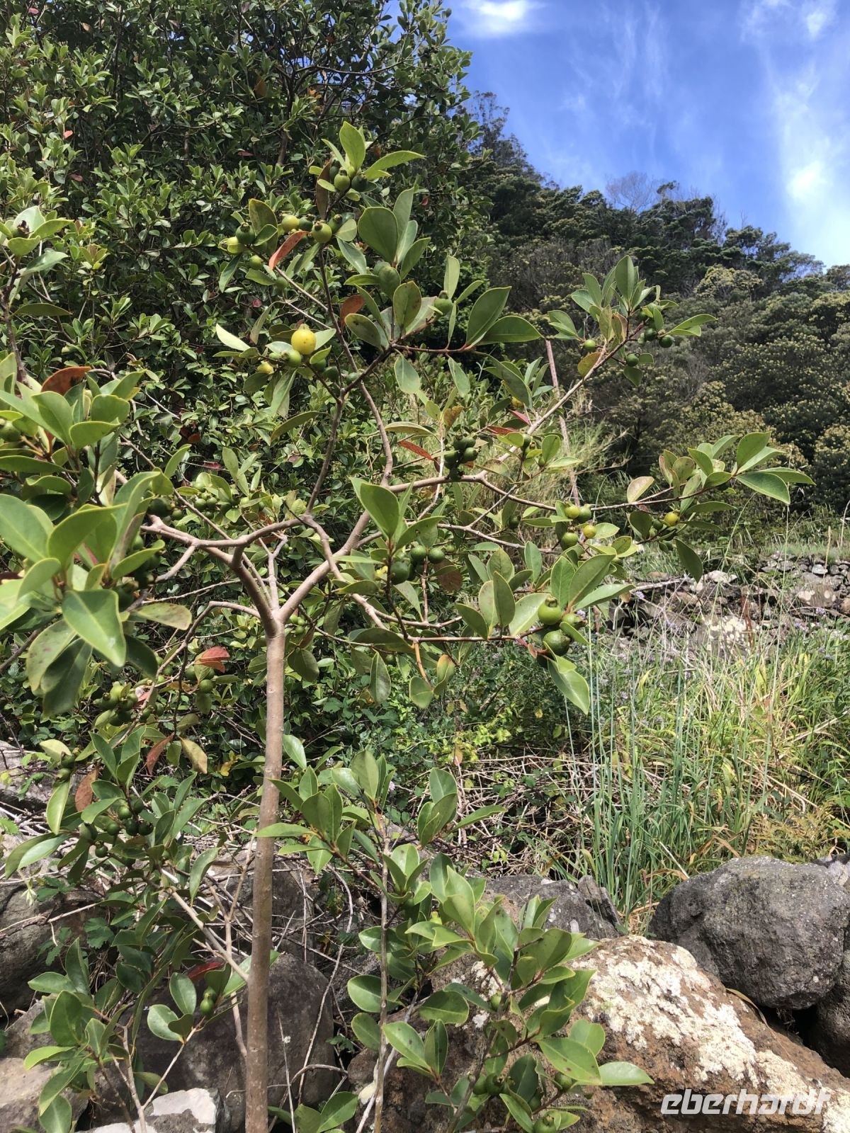 &copy; Sabine C. Seifert (Eberhardt TRAVEL)