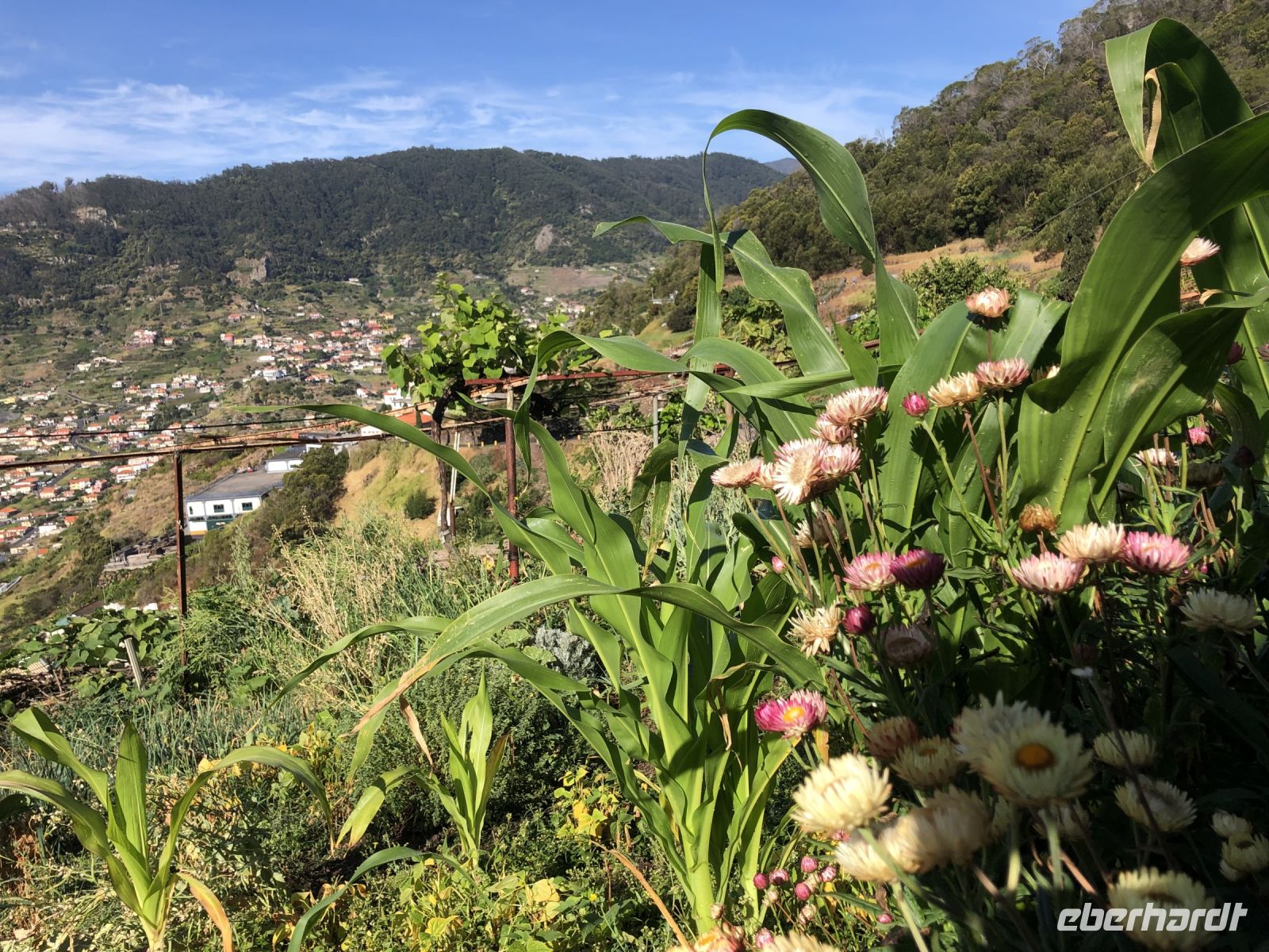 &copy; Sabine C. Seifert (Eberhardt TRAVEL)
