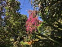 Quinta Boa Vista &ndash; &copy; Sabine C. Seifert (Eberhardt TRAVEL)