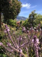 Fest der Sinne in Esmeraldas Kräutergarten &ndash; &copy; Sabine C. Seifert (Eberhardt TRAVEL)
