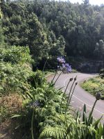am Wegesrand &ndash; &copy; Sabine C. Seifert (Eberhardt TRAVEL)