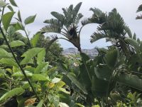 &copy; Sabine C. Seifert (Eberhardt TRAVEL)