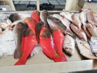 Fischtheke in der Markthalle &ndash; &copy; Marieta Beck (Eberhardt TRAVEL)
