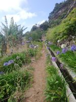 Levada Marocos &ndash; &copy; Marieta Beck (Eberhardt TRAVEL)