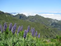 Die Landschaften zum Pico Ruivo &ndash; &copy; Marieta Beck (Eberhardt TRAVEL)