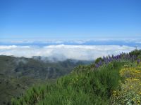 Wilde Natur &ndash; &copy; Marieta Beck (Eberhardt TRAVEL)