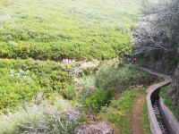 Levada –do Paul Serra &ndash; &copy; Marieta Beck (Eberhardt TRAVEL)