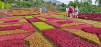 im Bot.Garten &ndash; &copy; Ria Heilmann (Eberhardt TRAVEL)