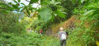 falscher Tabak &ndash; &copy; Ria Heilmann (Eberhardt TRAVEL)