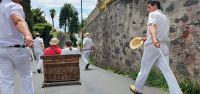 Korbschlittenfahrt von Monte &ndash; &copy; Ria Heilmann (Eberhardt TRAVEL)
