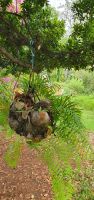 im Garten der Quinta Boa Vista &ndash; &copy; Ria Heilmann (Eberhardt TRAVEL)