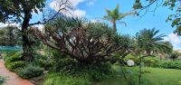 Garten der Quinta Splendida &ndash; &copy; Ria Heilmann (Eberhardt TRAVEL)