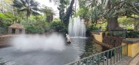 Park in Funchal &ndash; &copy; Ria Heilmann (Eberhardt TRAVEL)