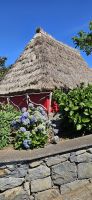 Santana &ndash; &copy; Ria Heilmann (Eberhardt TRAVEL)