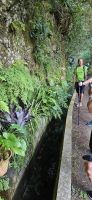 RL Berthold an der Levada Marocos &ndash; &copy; Ria Heilmann (Eberhardt TRAVEL)