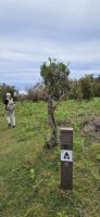 Wanderung in Fanal &ndash; &copy; Ria Heilmann (Eberhardt TRAVEL)