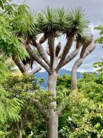 exotisch &ndash; &copy; Mathias Schirmer (Eberhardt TRAVEL)