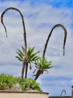 interessant &ndash; &copy; Mathias Schirmer (Eberhardt TRAVEL)