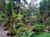 Tropischer Garten Monte Palace &ndash; &copy; Monika Cortese (Eberhardt TRAVEL)