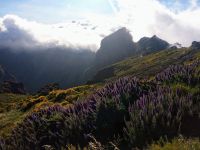 Blick ins Nonnental &ndash; &copy; Monika Cortese (Eberhardt TRAVEL)