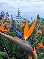 &copy; Marcus Hasselhorst (Eberhardt TRAVEL)