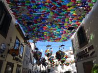 Camara de Lobos - Stadtfest &ndash; &copy; Hans-Joachim Trutz (Eberhardt TRAVEL)