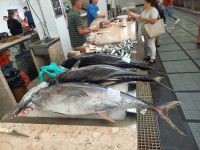 Fischhalle.jpg &ndash; &copy; Franciska Bauer (Eberhardt TRAVEL)