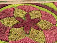 Botanische Garten.jpg &ndash; &copy; Franciska Bauer (Eberhardt TRAVEL)