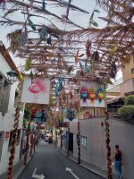 Camara de Lobos.jpg &ndash; &copy; Franciska Bauer (Eberhardt TRAVEL)