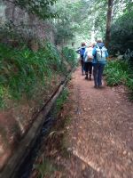 Wanderung - Levada von Marocos.jpg &ndash; &copy; Franciska Bauer (Eberhardt TRAVEL)