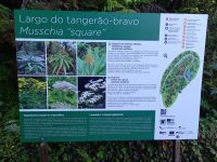 Ribeiro Frio.jpg &ndash; &copy; Franciska Bauer (Eberhardt TRAVEL)