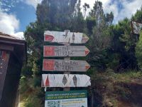 Wanderung zum Pico Ruivo.jpg &ndash; &copy; Franciska Bauer (Eberhardt TRAVEL)
