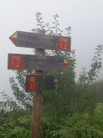 Wanderung zum Pico Ruivo.jpg &ndash; &copy; Franciska Bauer (Eberhardt TRAVEL)