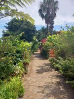 Kräutergarten Quinta Splendida.jpg &ndash; &copy; Franciska Bauer (Eberhardt TRAVEL)