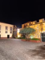 Altstadt Funchal am Abend.jpg &ndash; &copy; Franciska Bauer (Eberhardt TRAVEL)
