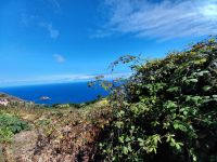 Blick nach Porto Moniz.jpg &ndash; &copy; Franciska Bauer (Eberhardt TRAVEL)