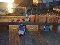 Picknick mit Sonnenuntergang in Camara de Lobos.jpg &ndash; &copy; Franciska Bauer (Eberhardt TRAVEL)