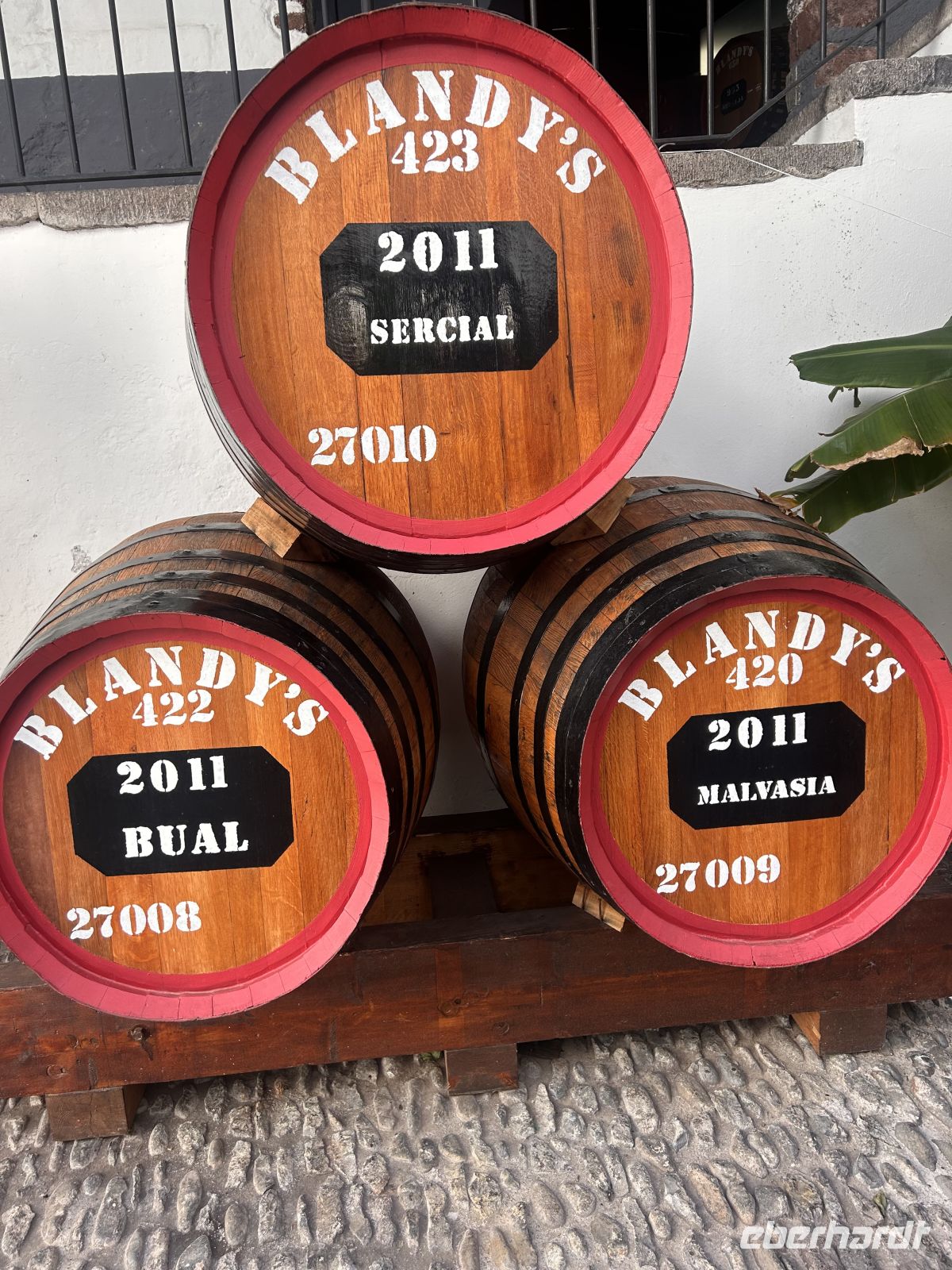 In der Madeiraweinkellerei &ndash; &copy; Carola Gastmeier (Eberhardt TRAVEL)