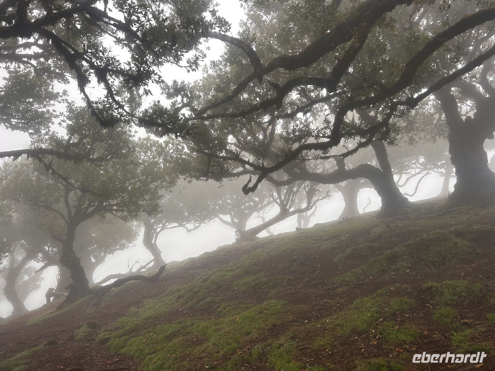 Weltnaturerbe Fanal &ndash; &copy; Carola Gastmeier (Eberhardt TRAVEL)