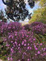 Im botanischen Garten 