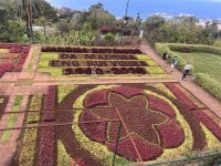 Blumen überall &ndash; &copy; Carola Gastmeier (Eberhardt TRAVEL)
