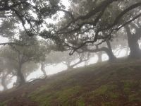 Weltnaturerbe Fanal &ndash; &copy; Carola Gastmeier (Eberhardt TRAVEL)