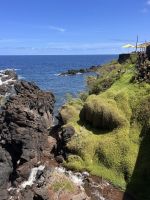 Promenade in Porto Moniz  &ndash; &copy; Carola Gastmeier (Eberhardt TRAVEL)