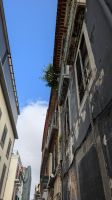 Altstadt Funchal