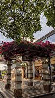 Markthalle Funchal  &ndash; &copy; Rebecca Biegert (Eberhardt TRAVEL)