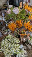 Blumen in der Markthalle Funchal  &ndash; &copy; Rebecca Biegert (Eberhardt TRAVEL)